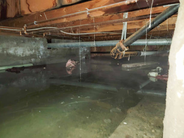 Best Flooded house restoration  in , MS
