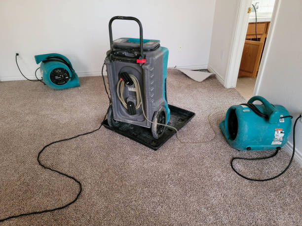 Best 24-hour water damage restoration  in , MS