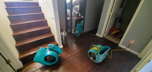 Best 24/7 water damage repair  in , MS