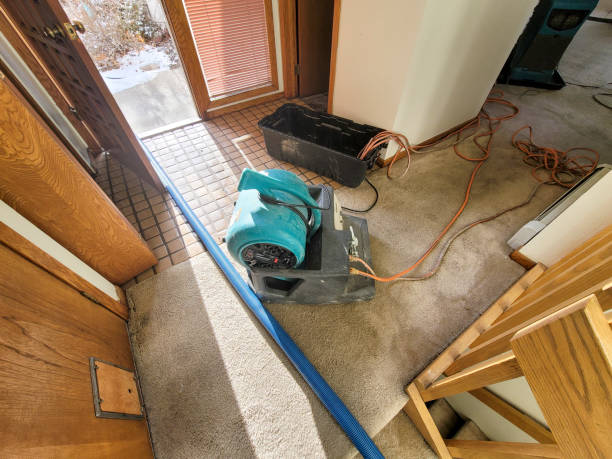 Best Carpet water damage restoration  in , MS