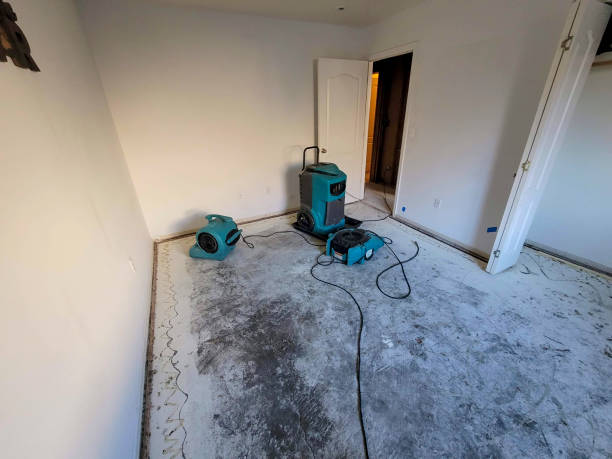 Best Ceiling water damage repair  in , MS