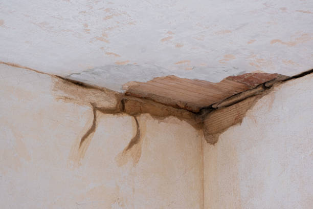 Best Water damage restoration near me  in , MS