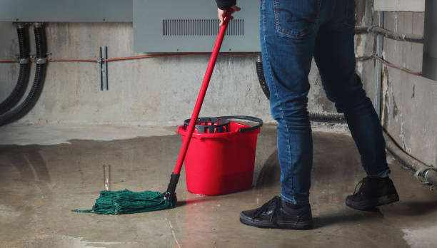 Best Mold removal after water damage  in , MS