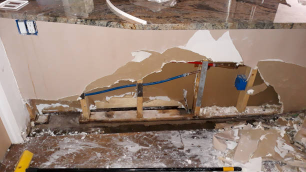 Best Water damage restoration near me  in , MS