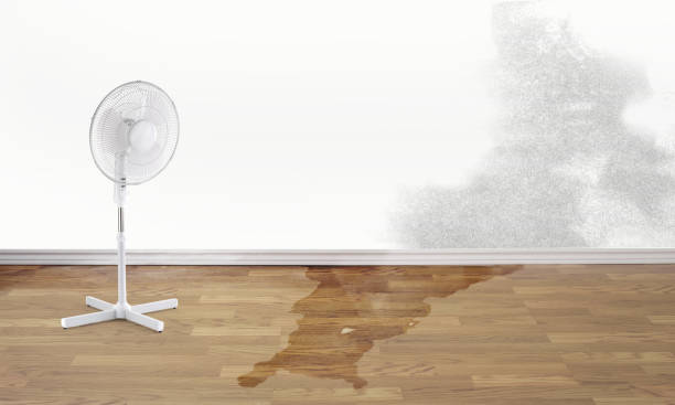 Best Residential water damage restoration  in , MS