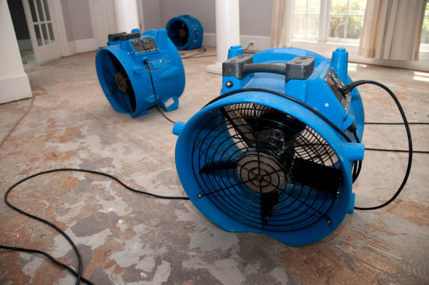 Best Flooded house restoration  in , MS