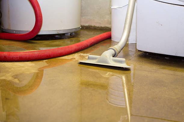 Best Professional water damage repair  in , MS