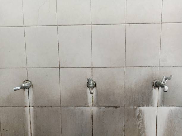 Best Fire Damage Restoration  in , MS