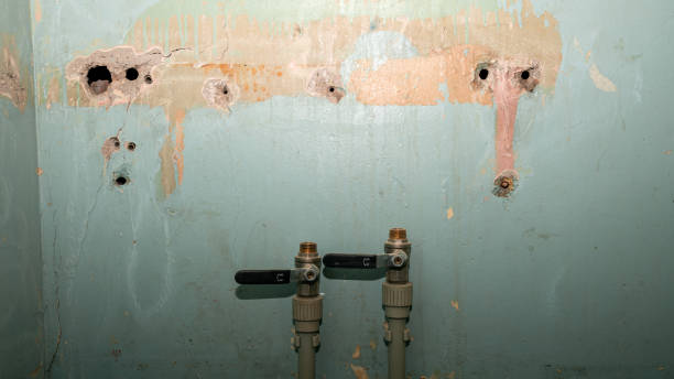 Best Mold removal after water damage  in , MS