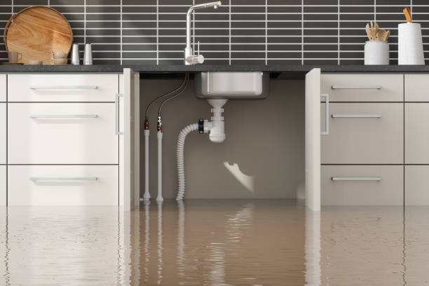 Best Water damage restoration near me  in , MS