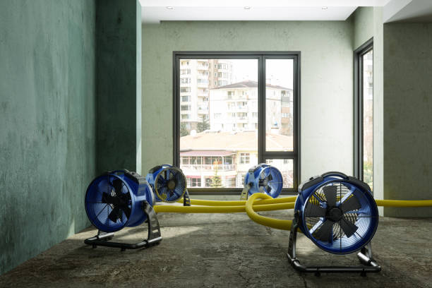 Best Local water damage restoration  in , MS