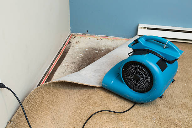 Best Sewage cleanup and water damage restoration  in , MS